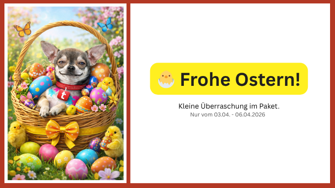 Zeitumstellung