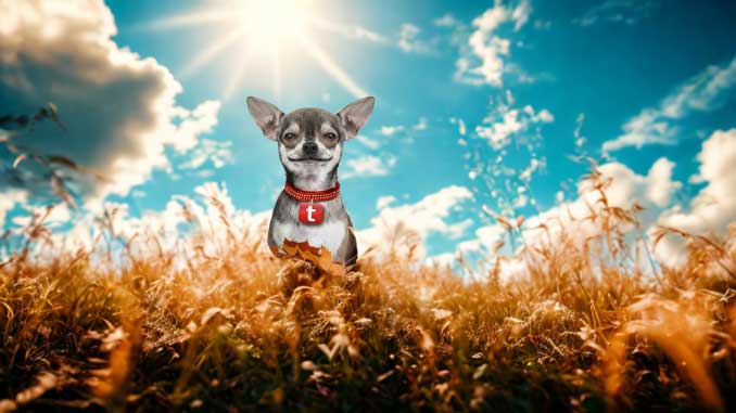 Grafik: Blätter fallen - Patronen bitte nicht